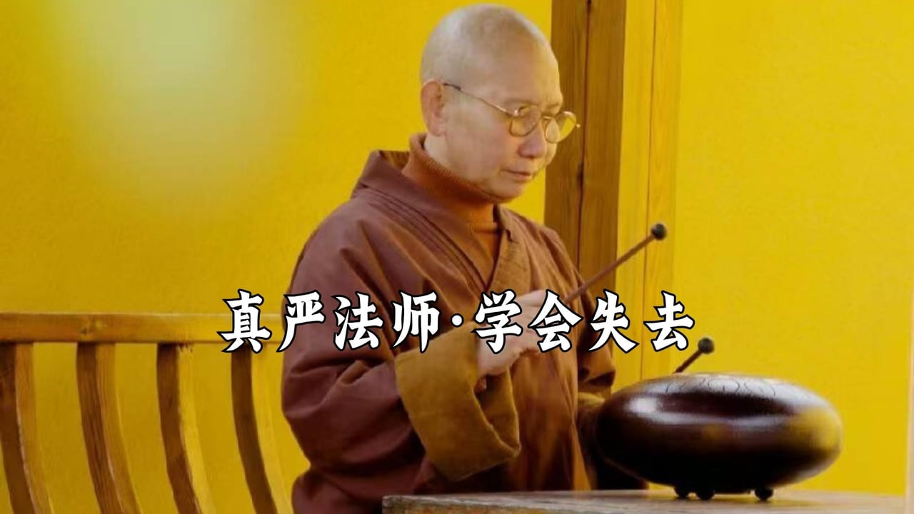 失去了，不在意，就不会被伤害——真严法师