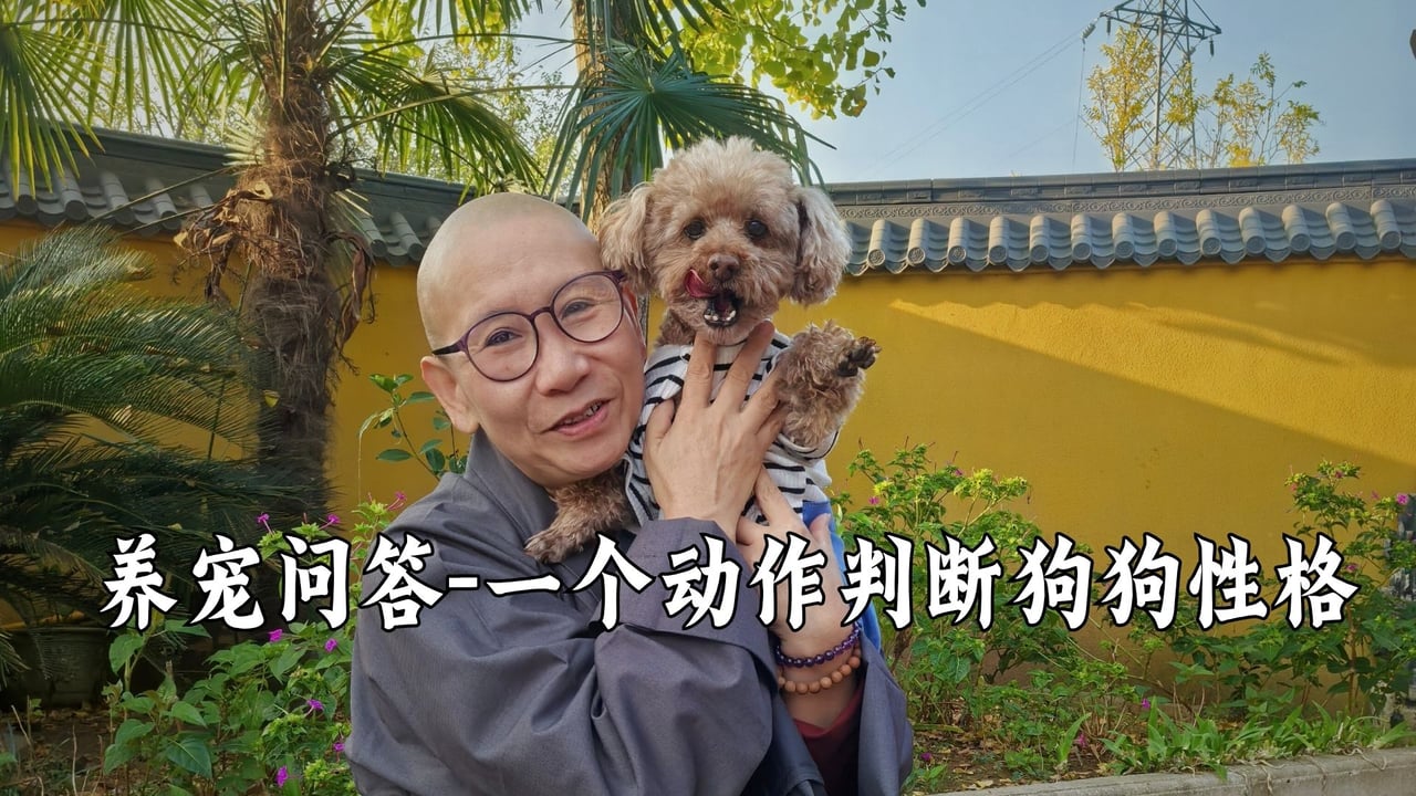真严法师教你一个动作来看小狗的性格