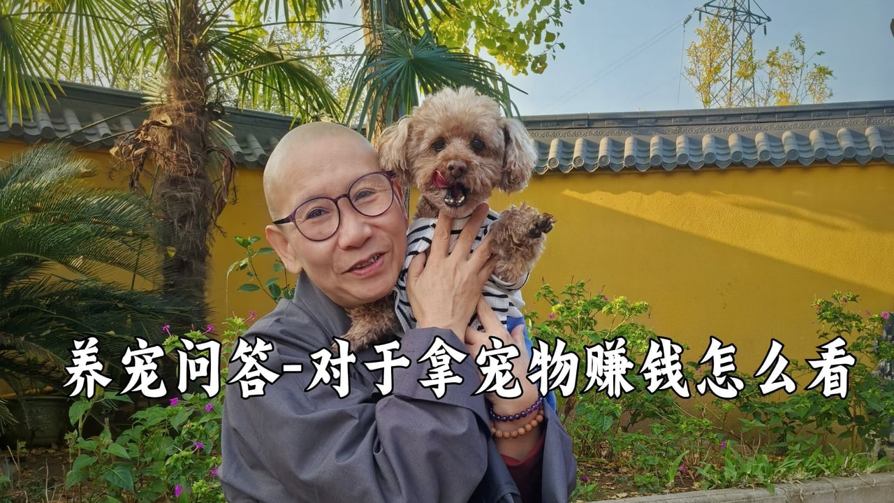对于那些拿动物来赚钱的人，听真严法师怎么说