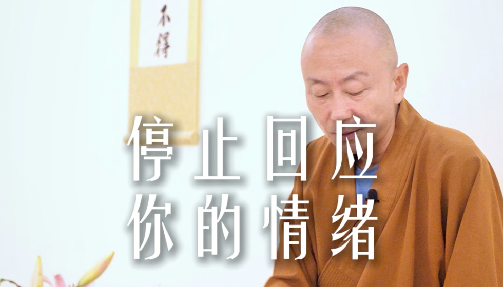 情绪是偷走你能量的“贼”——源慧法师