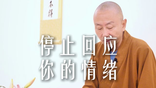 情绪是偷走你能量的“贼”——源慧法师