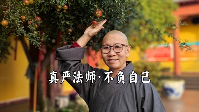 不负自己也是你的修行｜真严法师