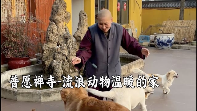 小庙虽小，但也是温暖的家——普愿禅寺