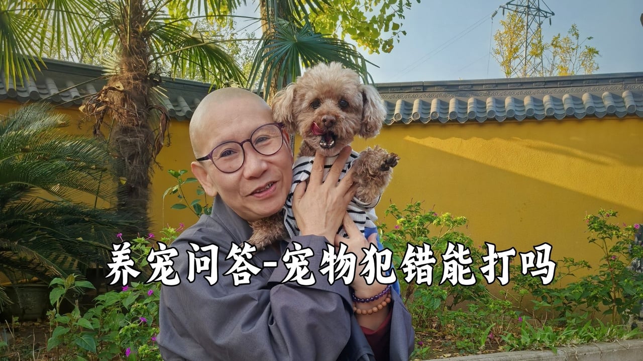 宠物犯错了要打它吗？真严法师会这么做
