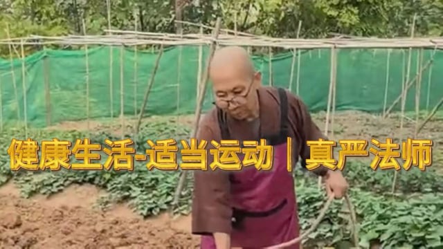健康生活-适当运动｜真严法师