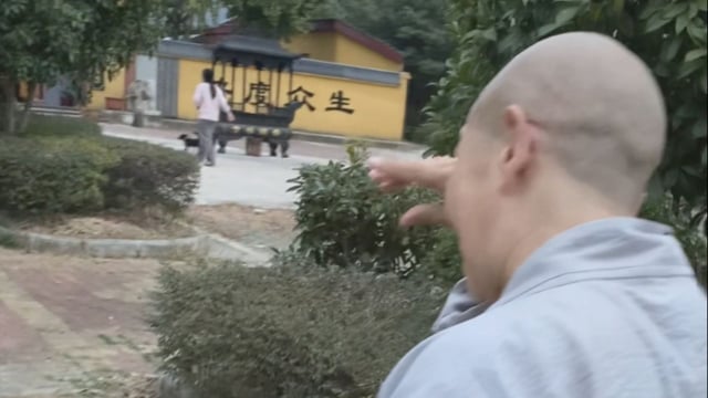 花花走丢——真严法师