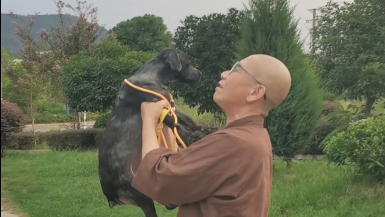 福福——真严法师