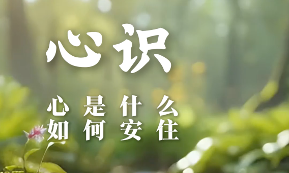心是什么？如何安住？