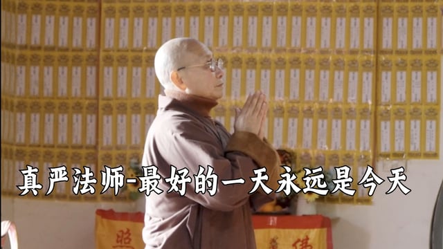 最好的一天永远是今天——真严法师