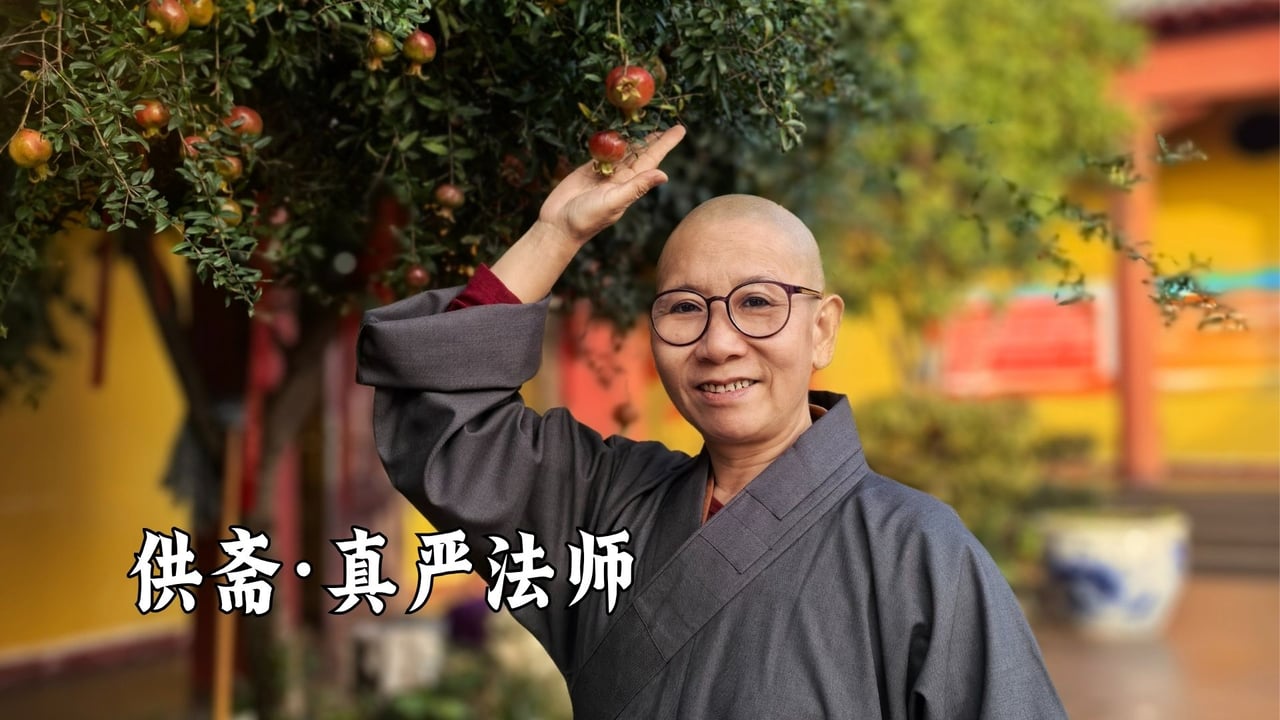 供斋｜真严法师