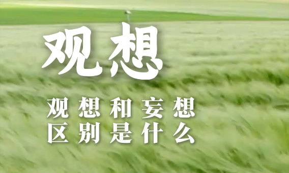 观想和妄想的区别是什么？