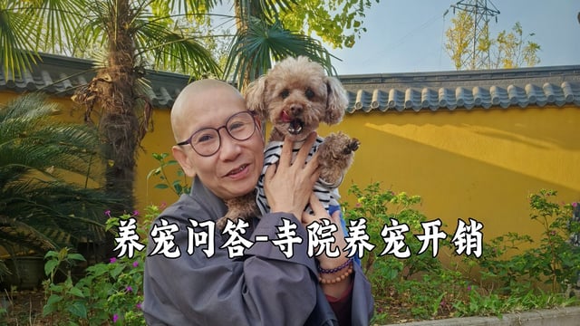 寺院收养那么多动物，开销大吗？-真严法师