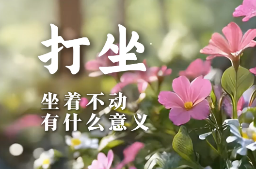 打坐仅仅只是坐着不动吗？