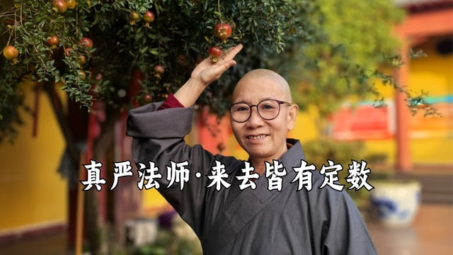 来去皆有定数，请随遇而安｜真严法师