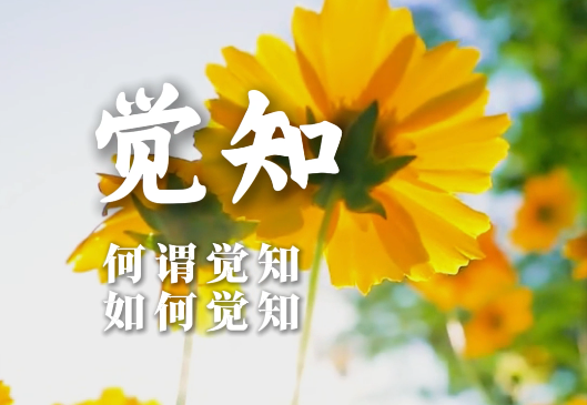 让自己成为一个观察者