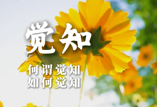 让自己成为一个观察者