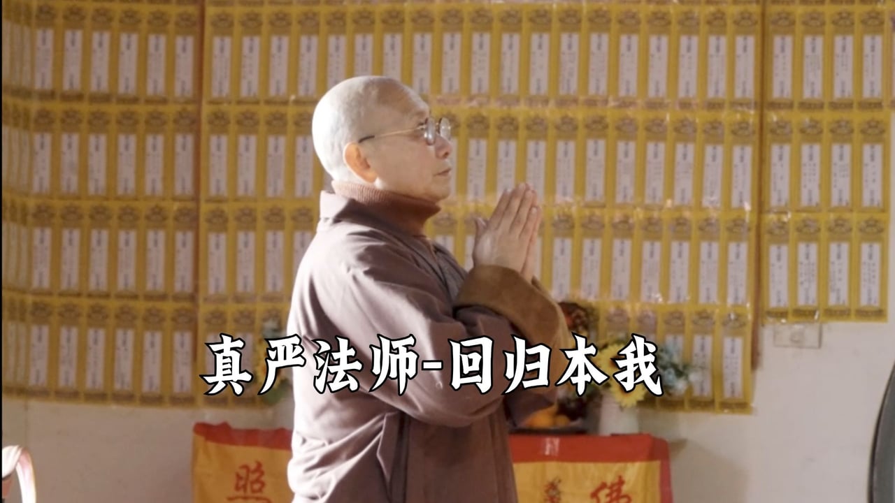 回归本我——真严法师