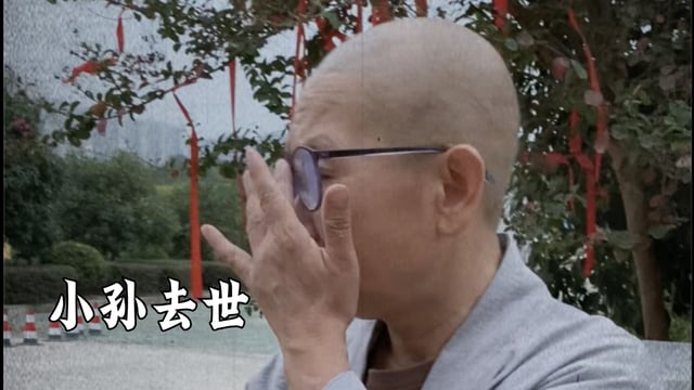 小孙去世——真严法师
