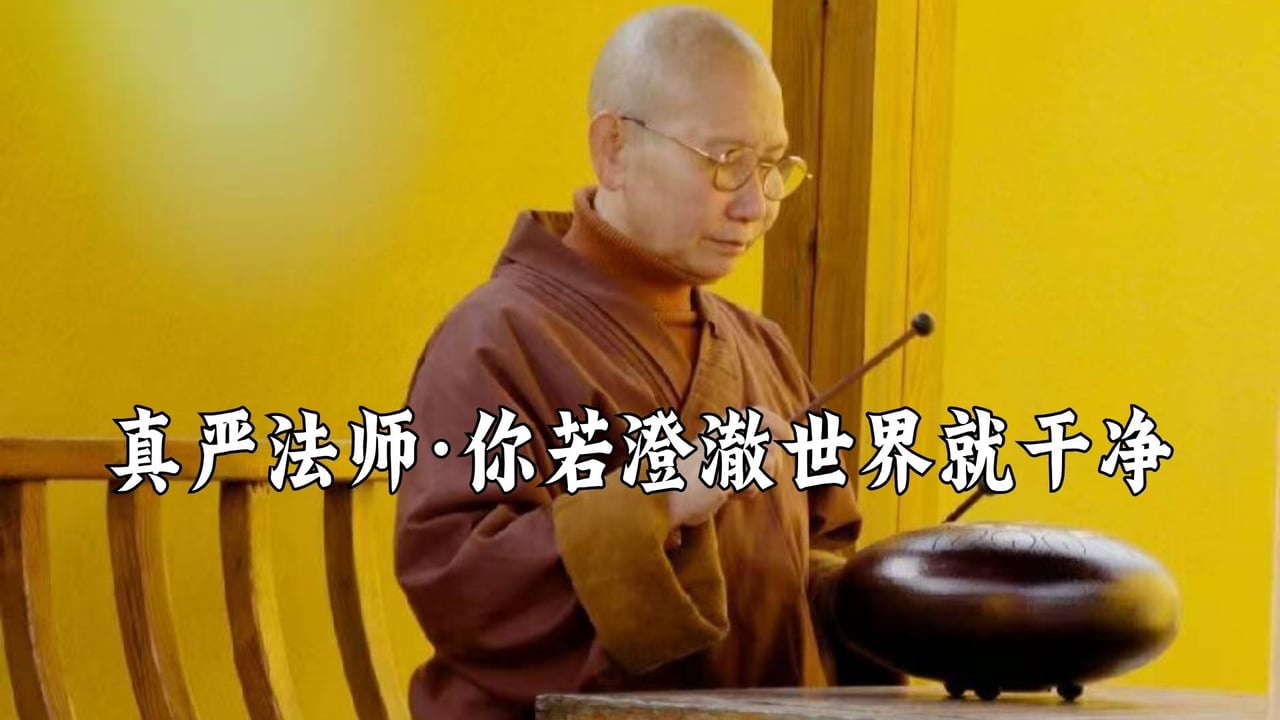 你若澄澈，世界就干净——真严法师