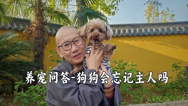 狗狗多久会忘掉自己的主人呢？——真严法师