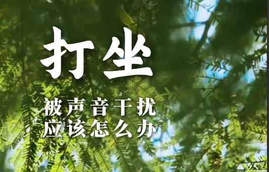 为什么容易被外在的声音干扰？应该怎么办？