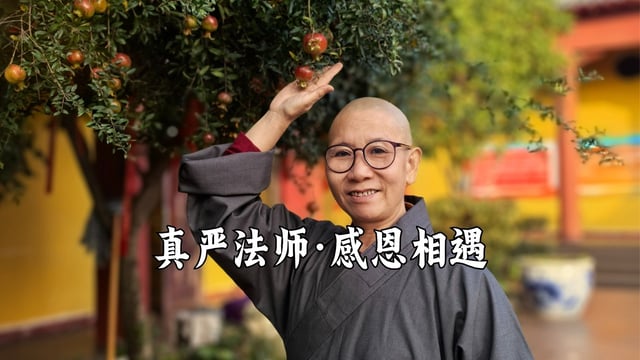 感恩相遇｜真严法师