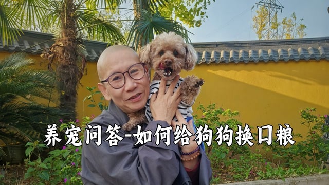 能不能给狗狗换狗粮呢？需要注意什么？听真严法师怎么说