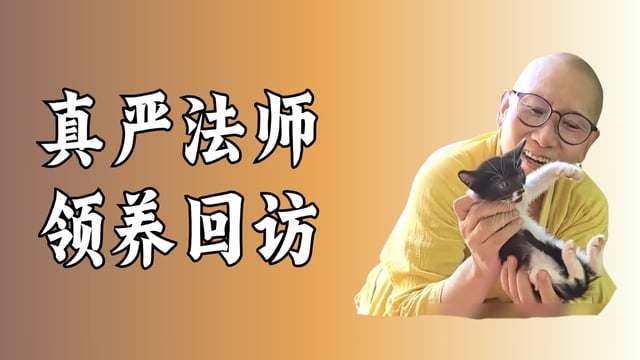 宠物领养回访来了，真严法师