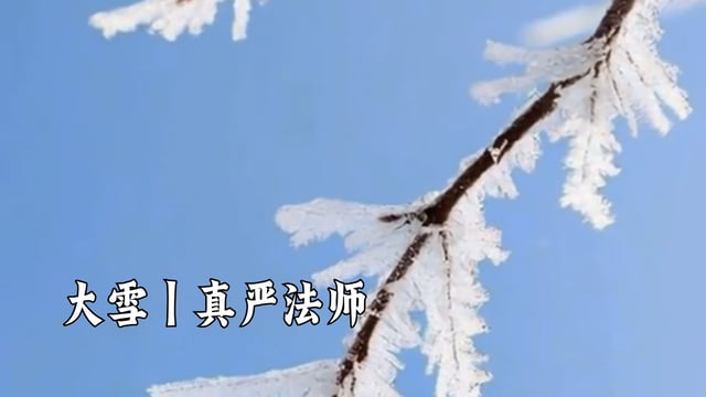 大雪｜真严法师