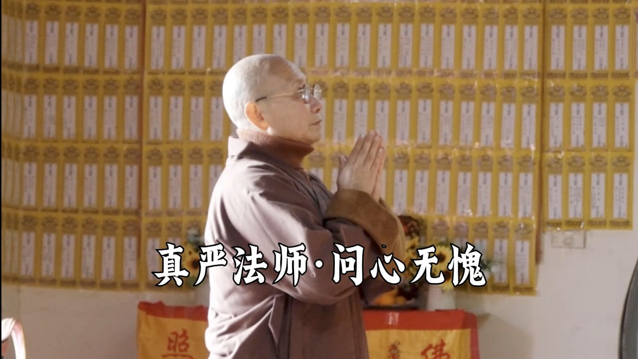 问心无愧——真严法师