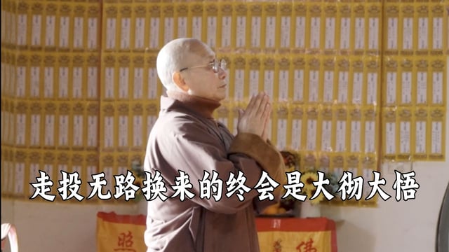 走投无路换来的终会是大彻大悟——真严法师
