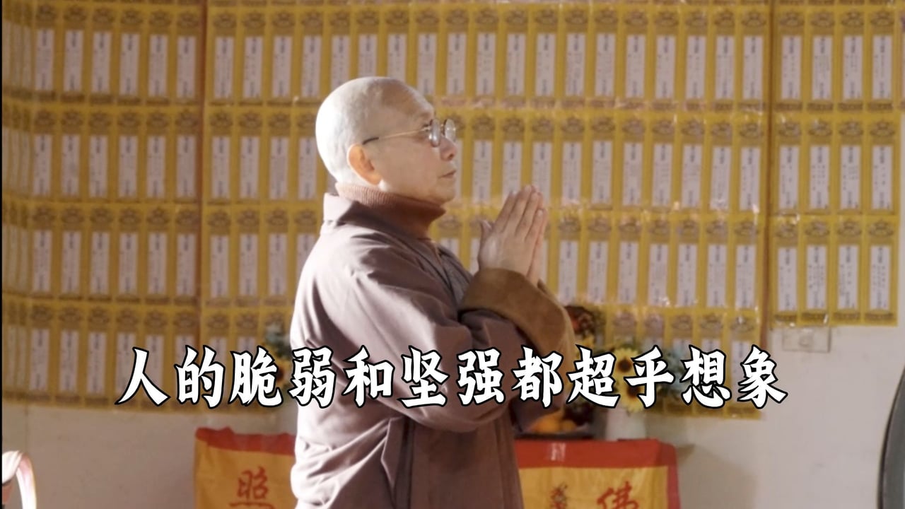 人的脆弱和坚强都超乎想象——真严法师