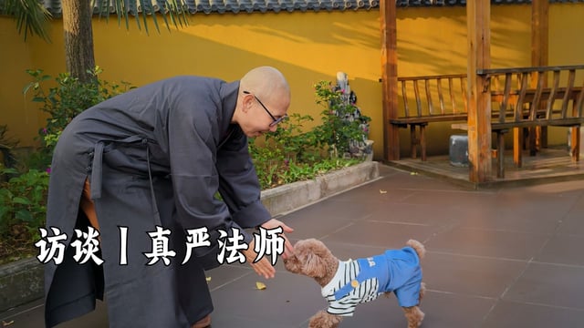 访谈｜真严法师