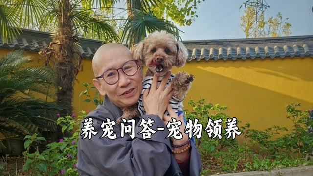 有新生命啦，宠物领养开放中——真严法师