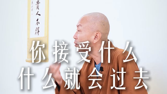 你接受什么什么就会过去——源慧法师