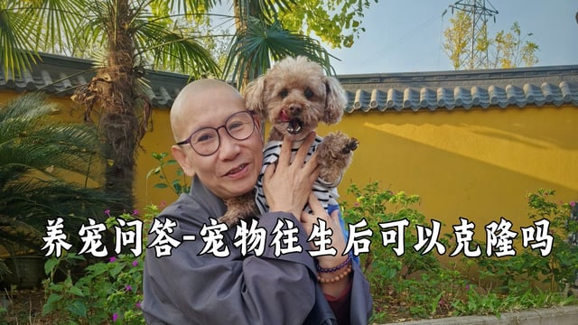宠物往生了，有必要克隆一个吗？听真严法师怎么说