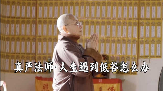 人生遇到低谷怎么办？——真严法师