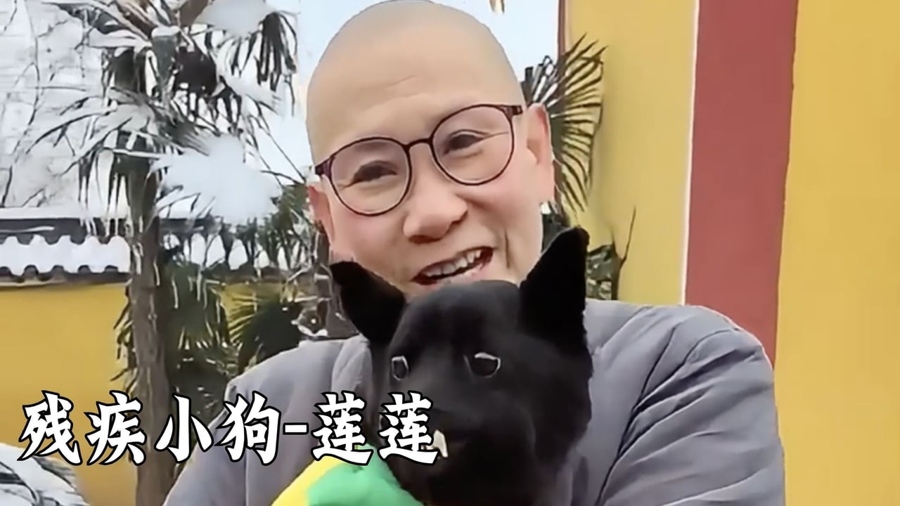莲莲——真严法师