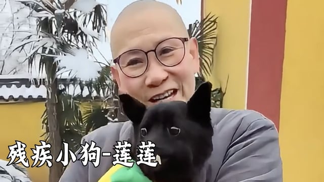 莲莲——真严法师