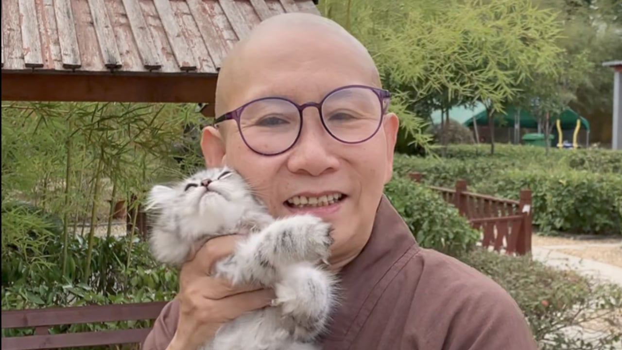 猫猫有感情吗？——真严法师