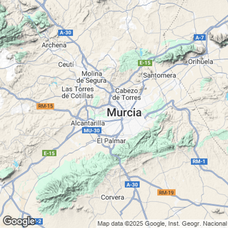 Terrain image of Area Metropolitana de Murcia