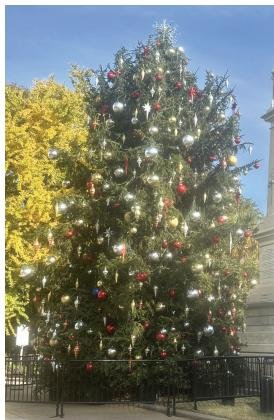 Official Christmas Tree arrives at South Carolina State House