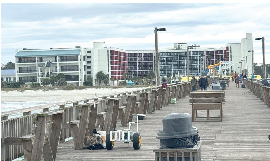 A Look at Winter Travel The Ellie – A perfect place for a Grand Strand getaway TRAVEL