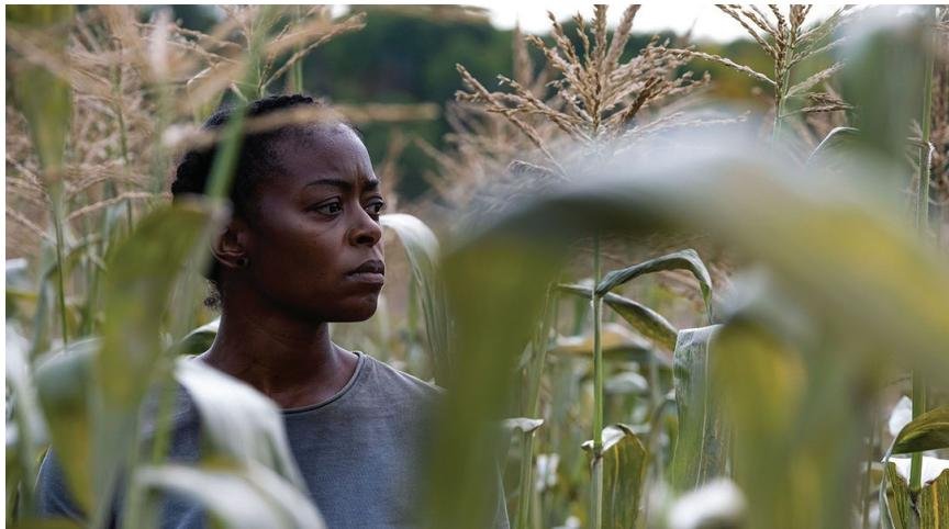 South Carolina sneak preview of ‘40 ACRES’ to be held June 21 at Saloma Acres in Blythewood