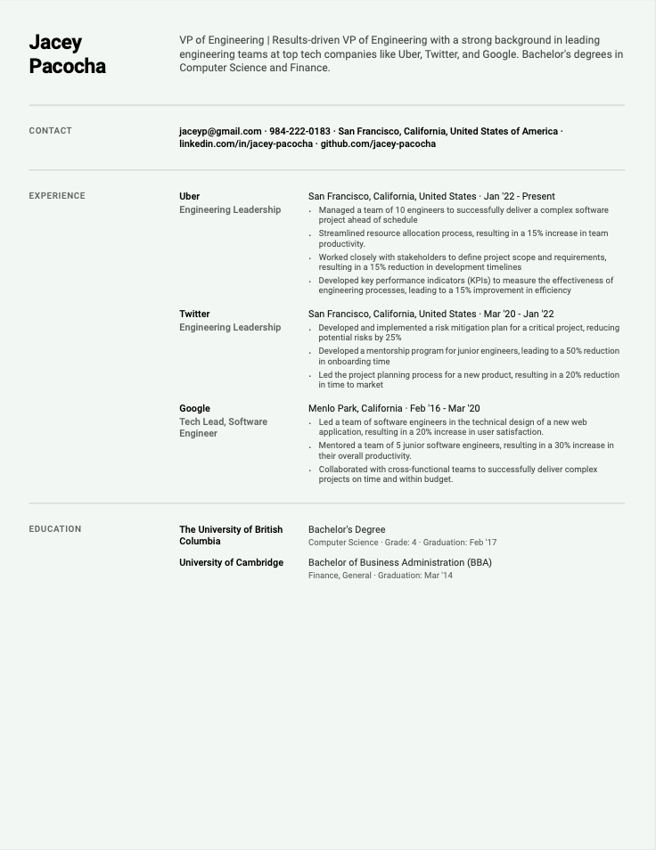 VP Engineering resume example