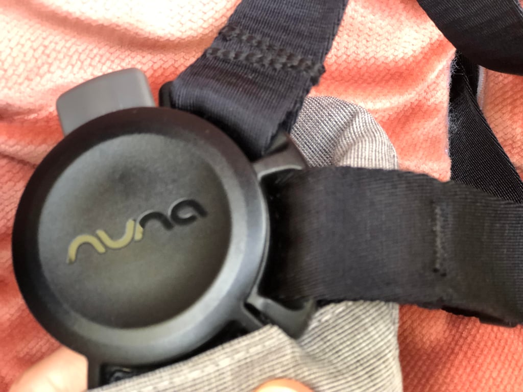 Magnetic harness