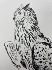 Pen and Ink Animals (4 Weeks)