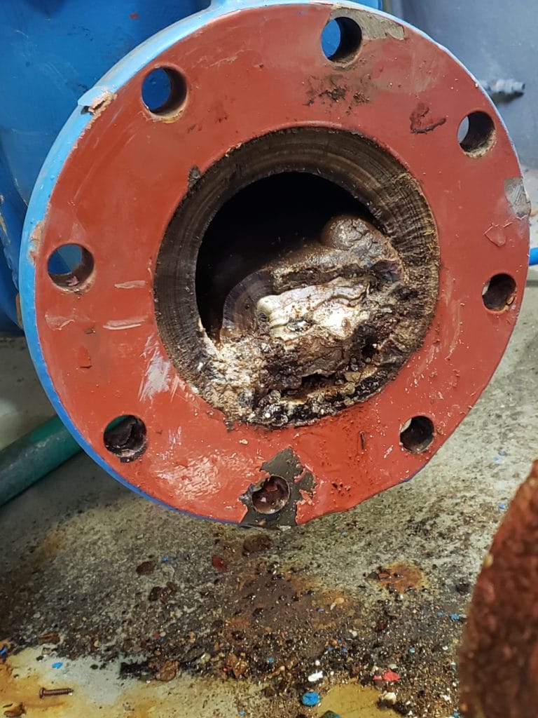 The water flow from the 6-inch pipe was restricted to nearly two inches. (Photo Courtesy Groveland Water and Sewer Department)q