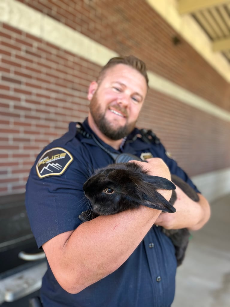 A police officer holds a bunny.