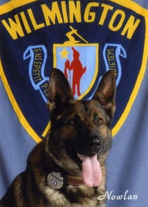 K-9 Kimo 10/06/03 - 10/26/16